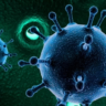 Norovirus Infection: Symptoms, Transmission, and Prevention