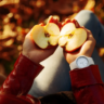 How Many Calories in an Apple? Your Snacking Savior